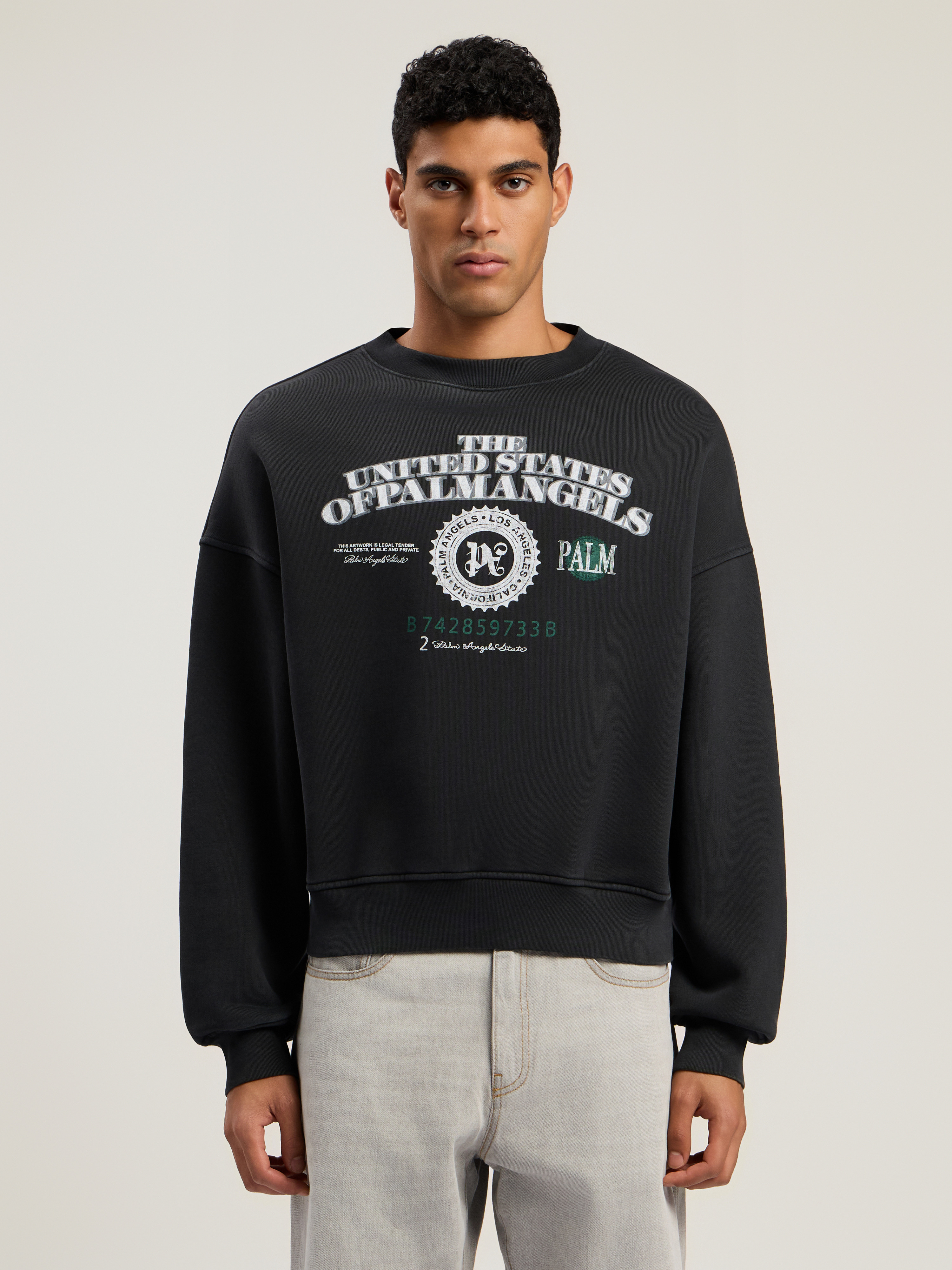 Dollar Loose Crew Sweatshirt - 3