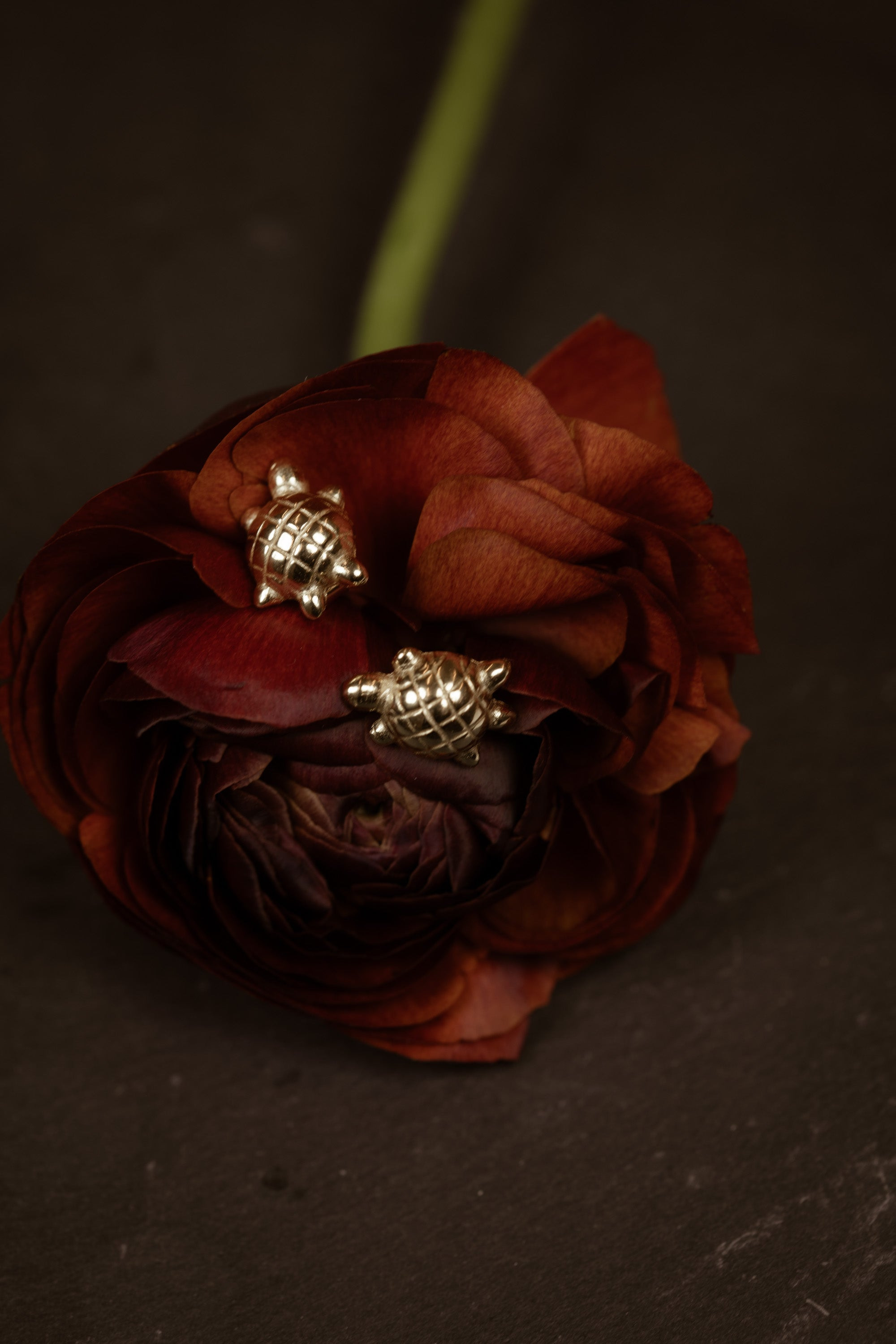 Tiny Turtle Earrings - 4