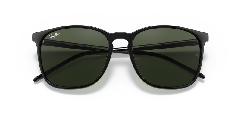 Ray-Ban RB4387 outlook