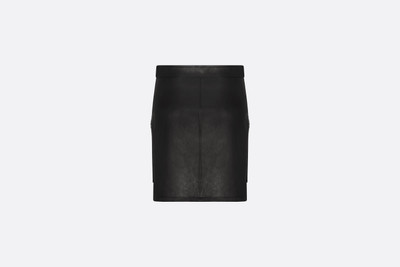 Dior Zip Miniskirt outlook