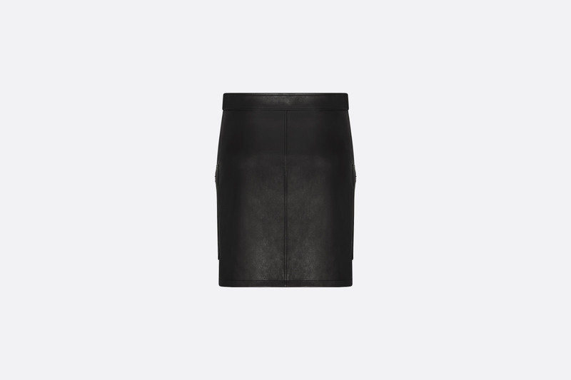 Dior Zip Miniskirt outlook
