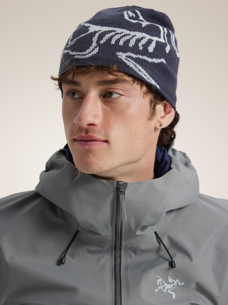 Arc'teryx Bird Head Toque outlook