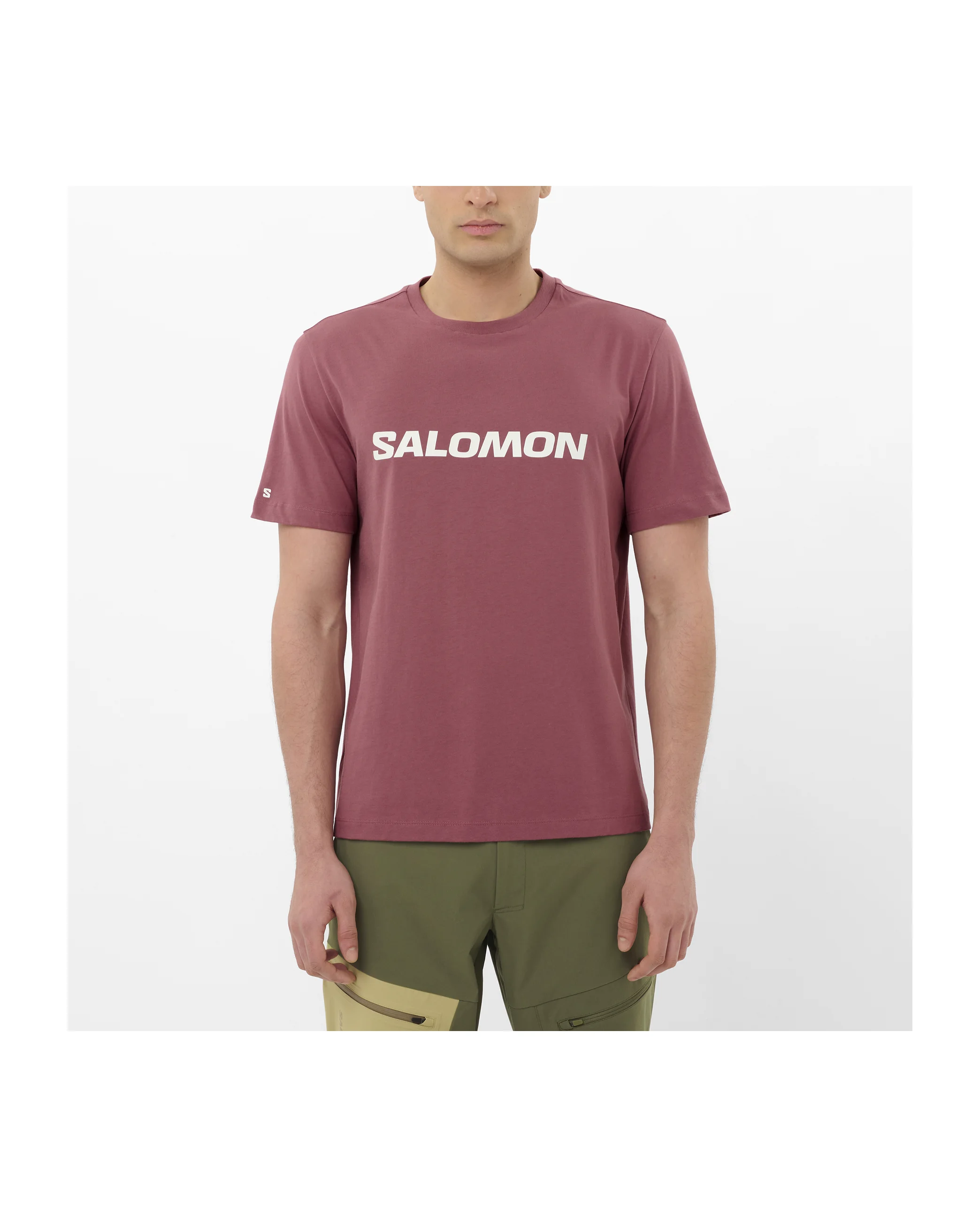 SALOMON LOGO - 1