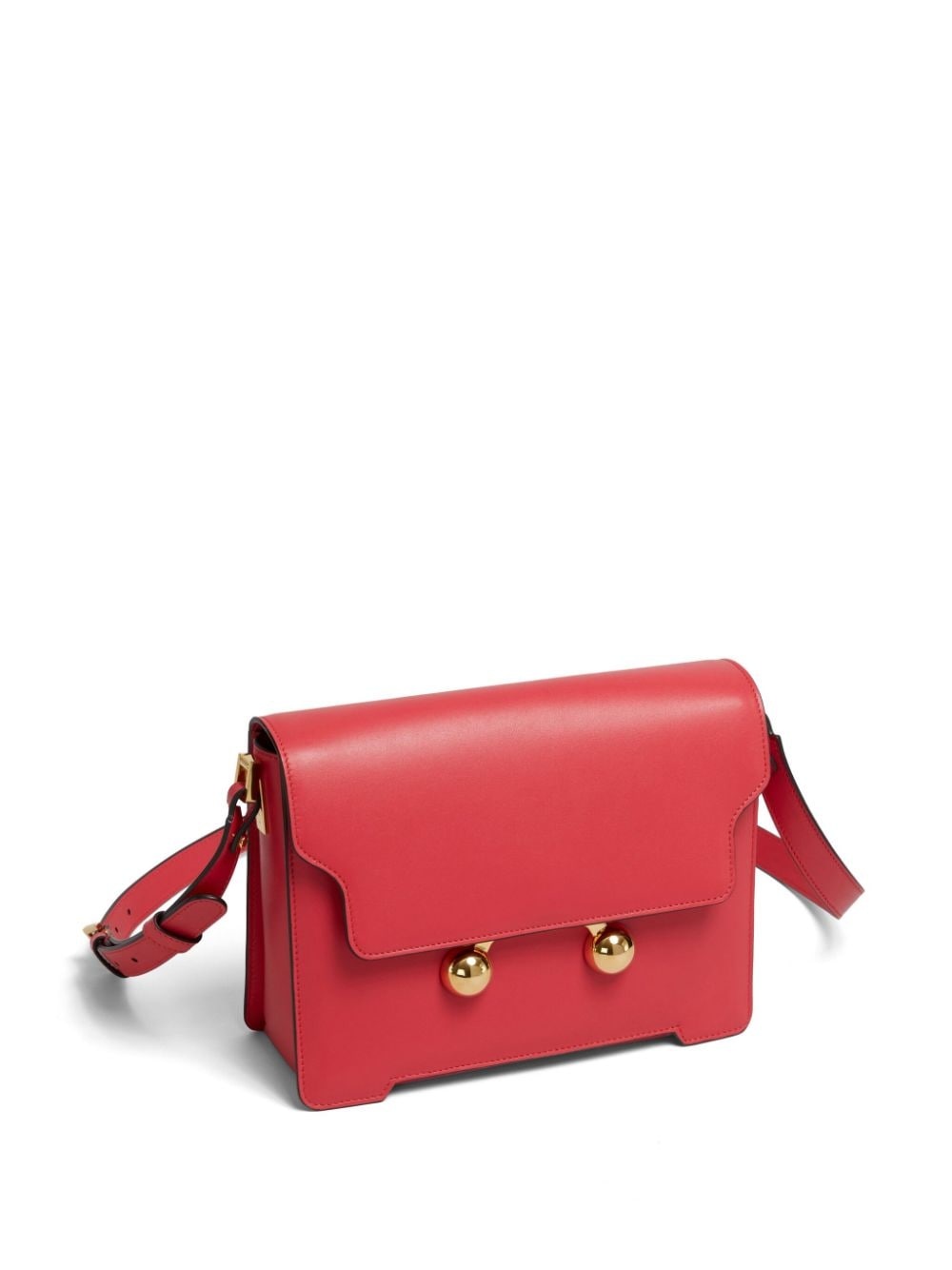 medium Trunkaroo crossbody bag - 6