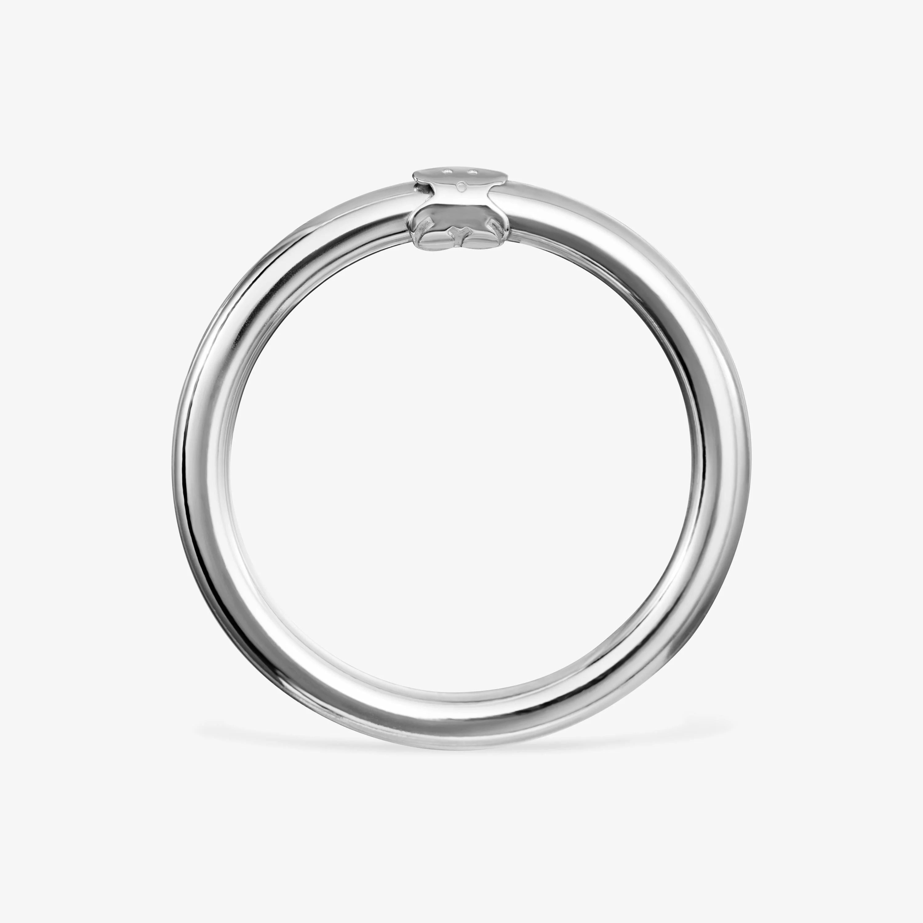 Large Silver Hold Ring - 1