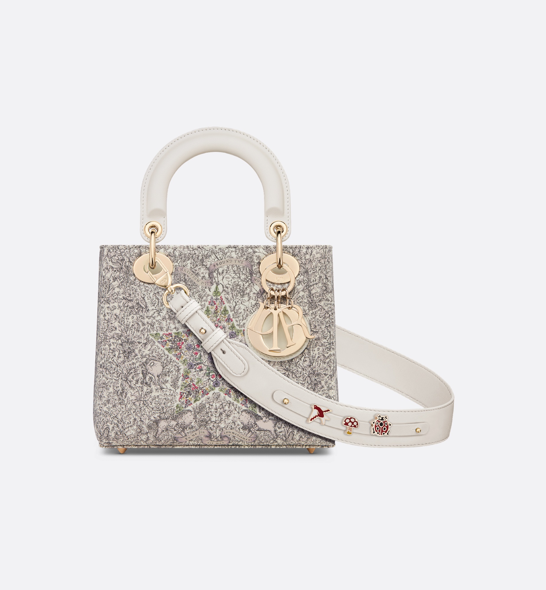 Small Lady Dior My ABCDior Bag 1