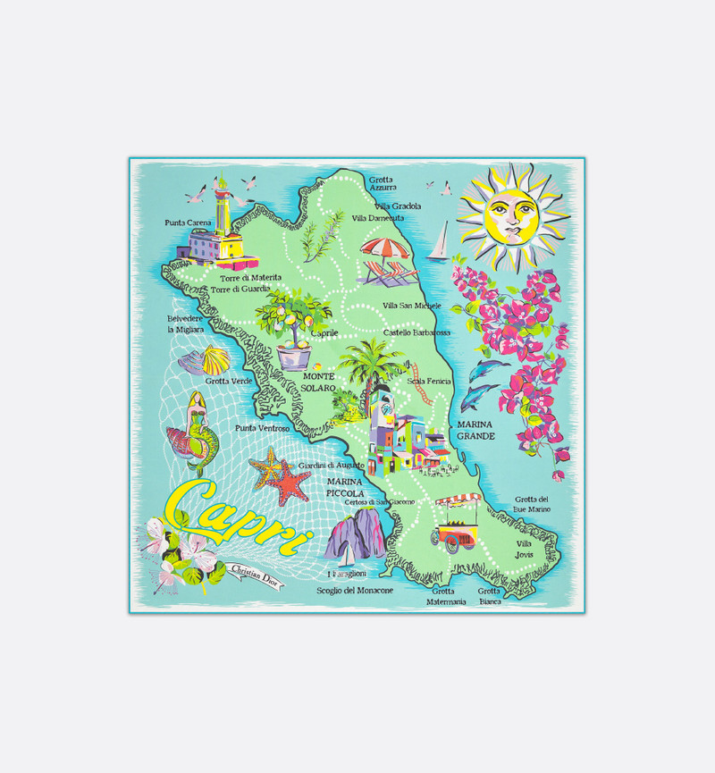 Dior Souvenir 70 Square Scarf 1