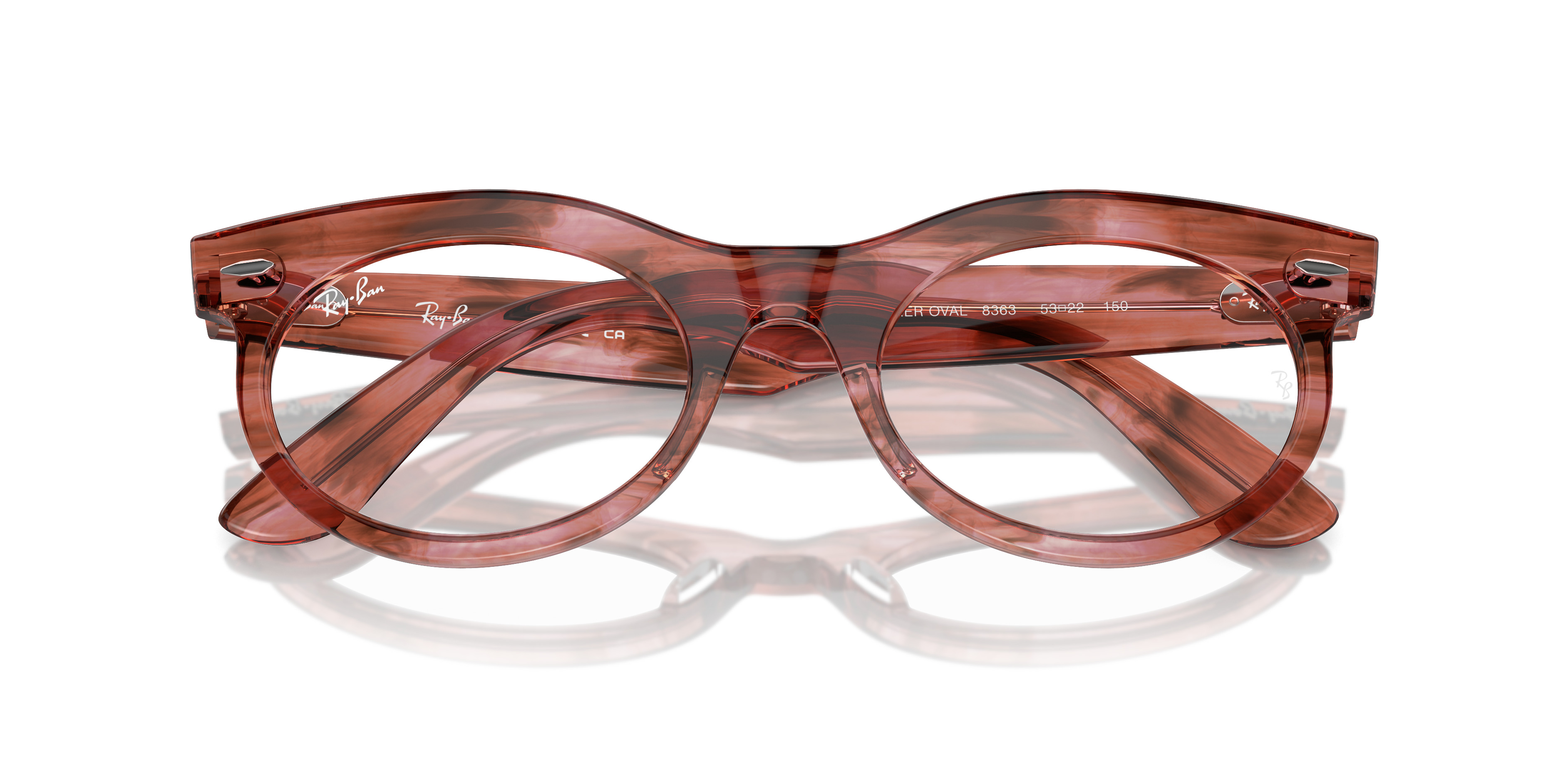 WAYFARER OVAL OPTICS - 2