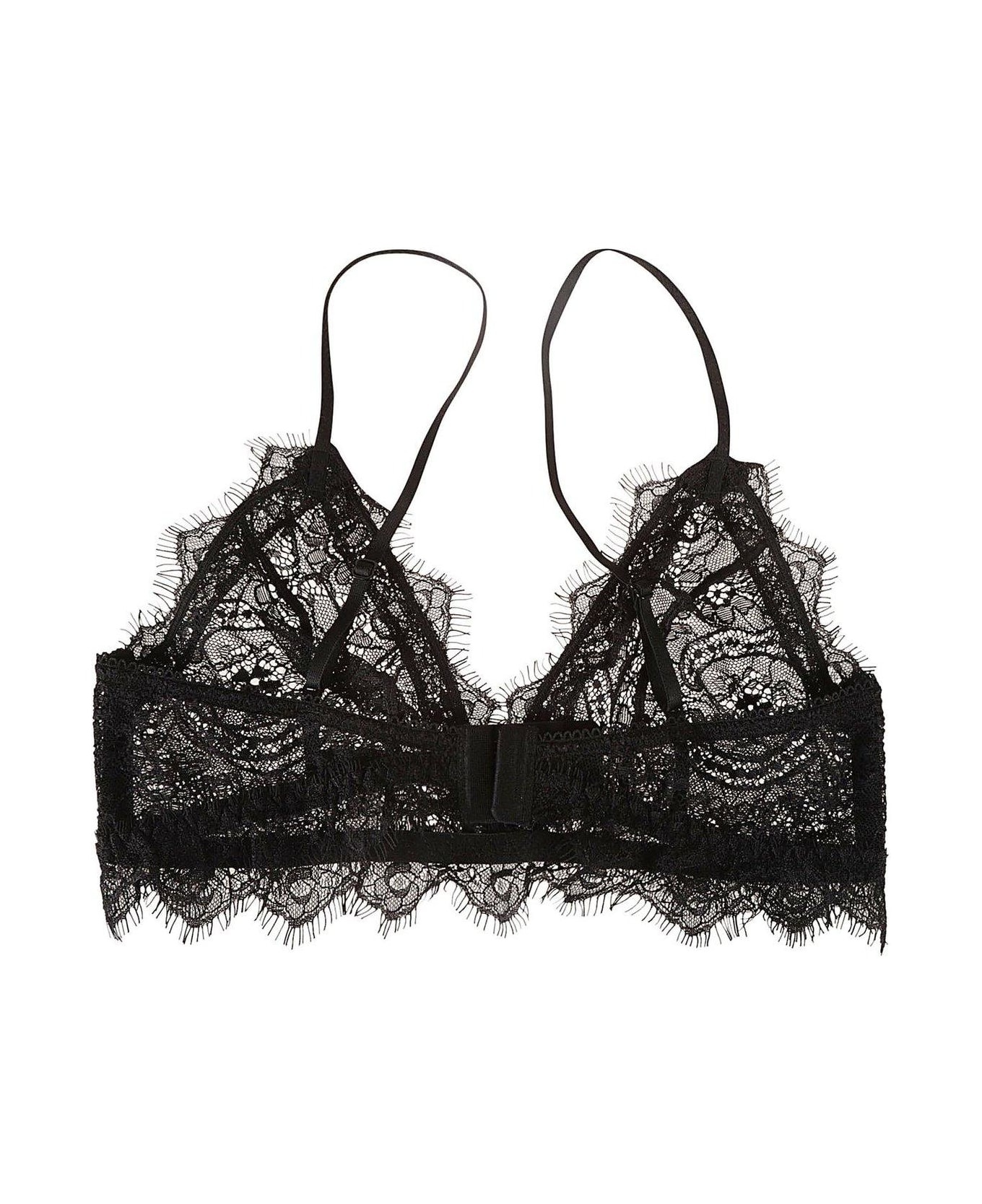 Triangle Cup Sheer Lace Bra - 2