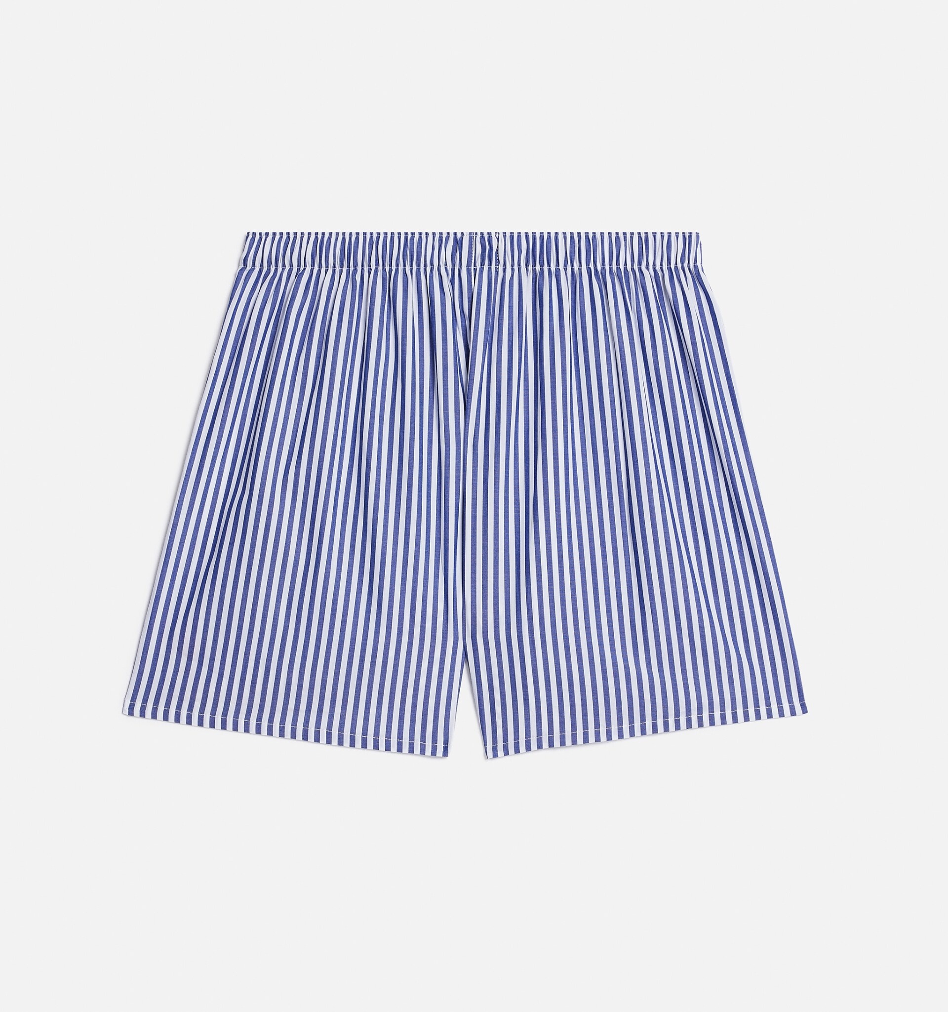Ami de Coeur Boxer - 4