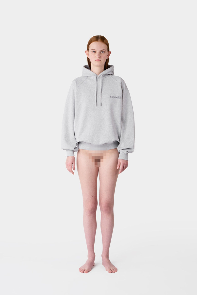 SMALL LOGO EMBROIDERED HOODIE / grey melange 5