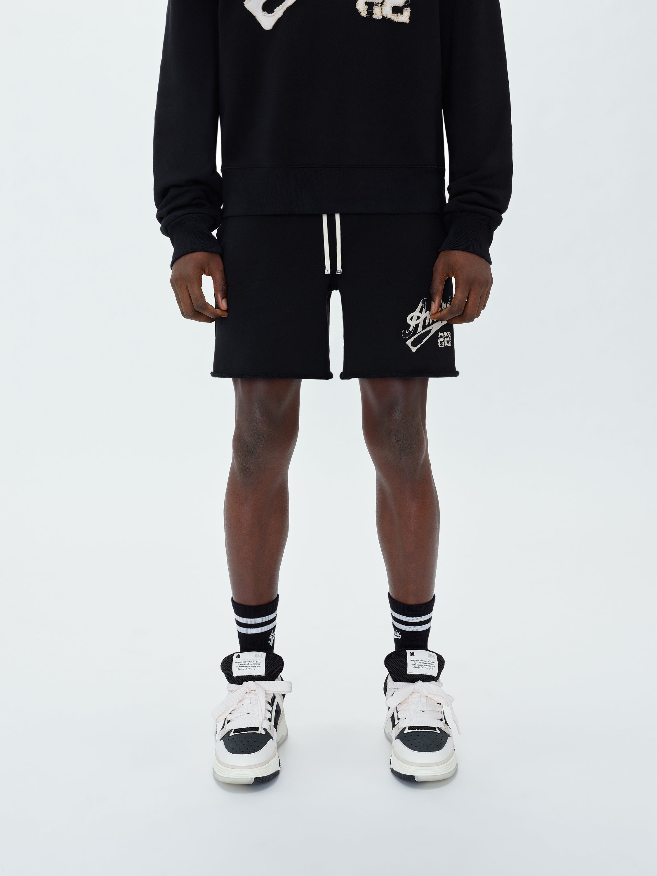AMIRI 22 SHORTS - 2