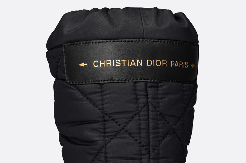 Dior Frost Ankle Boot 6