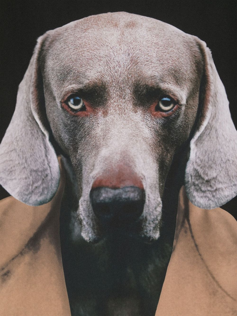 dog-print silk scarf - 3