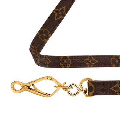 Louis Vuitton Baxter Dog Leash GM outlook