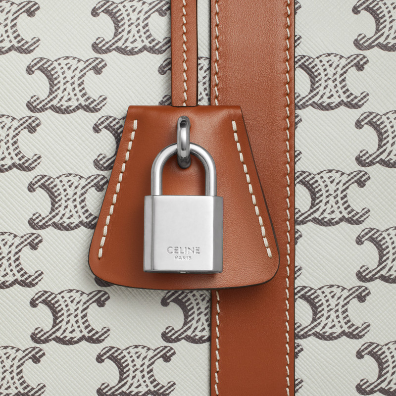 Medium Travel Bag in Triomphe Canvas and calfskin 4