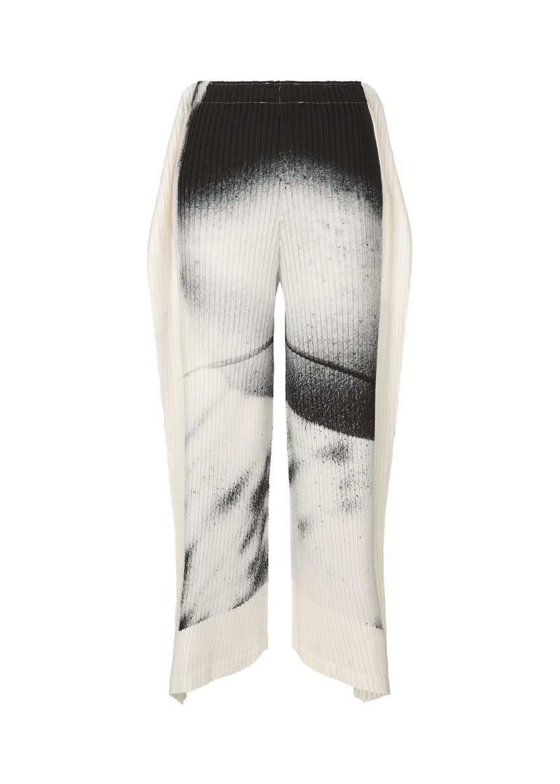 SHADOW STUDY PLEATS 1