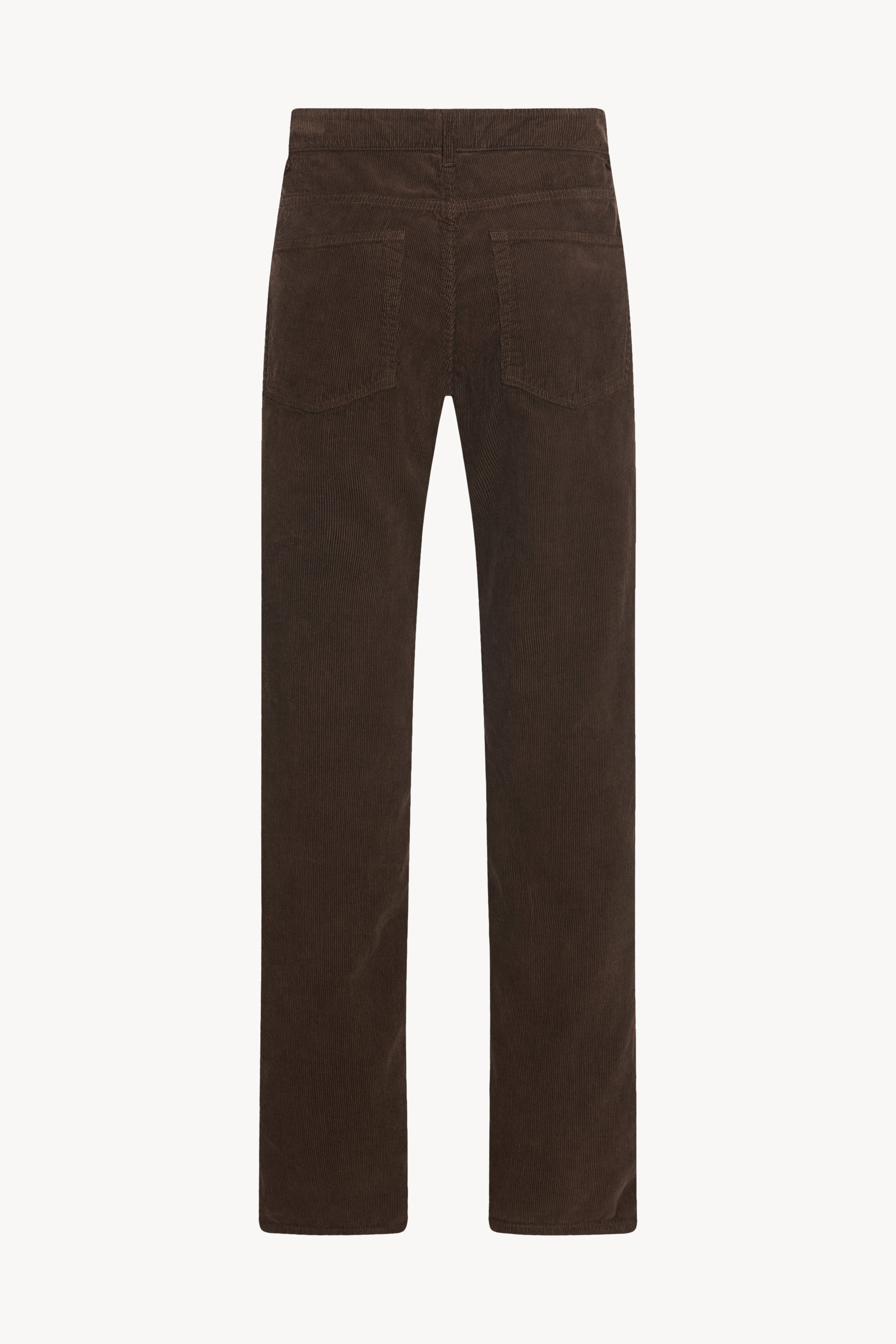 Carlyl Pant in Cotton - 2