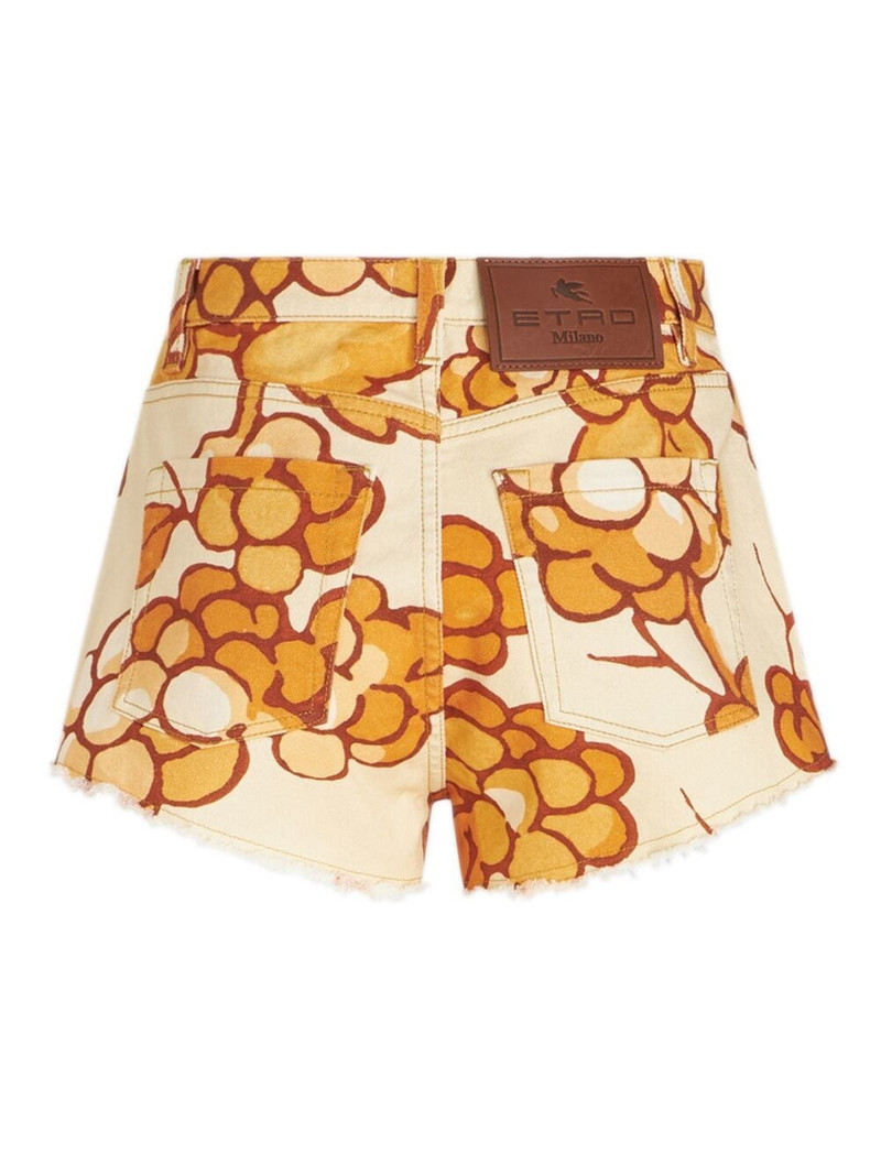 Etro Berry-print denim shorts outlook