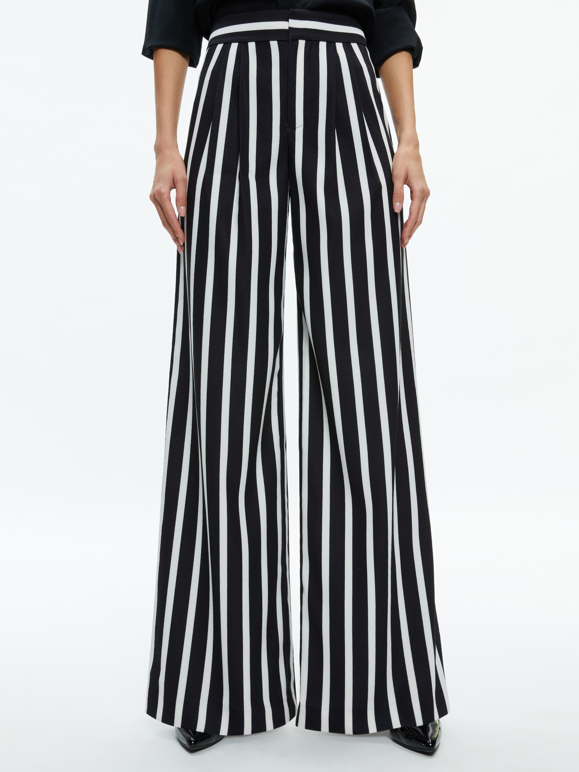 POMPEY HIGH WAISTED PLEATED PANTS - 2