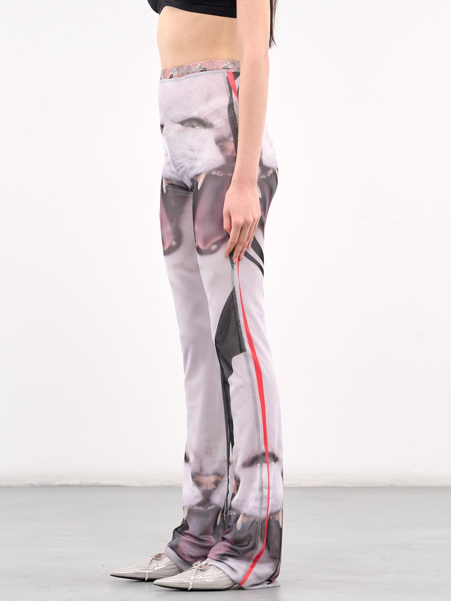 Printed Mesh Pants - 2