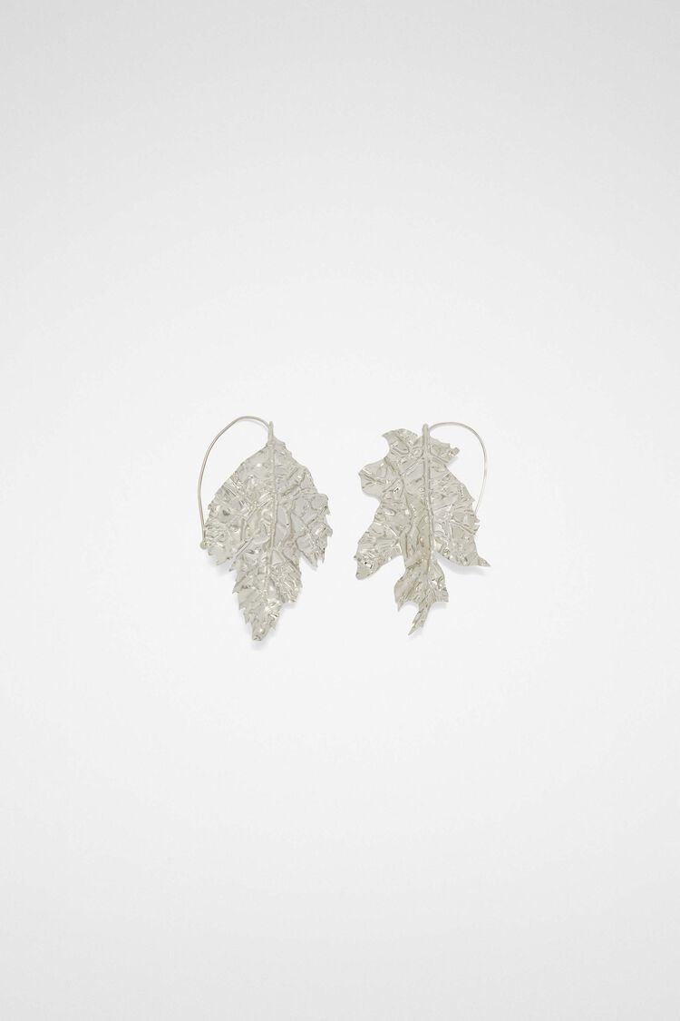 Earrings - 1