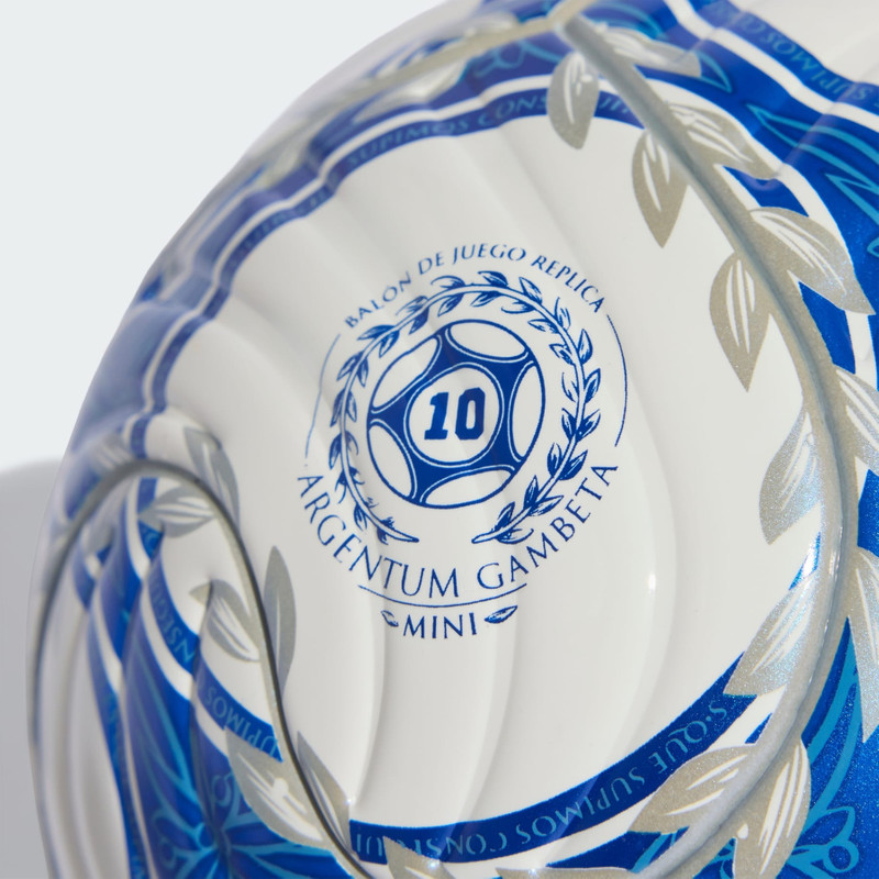 Argentina AFA Argentum Gambeta Mini Ball 4