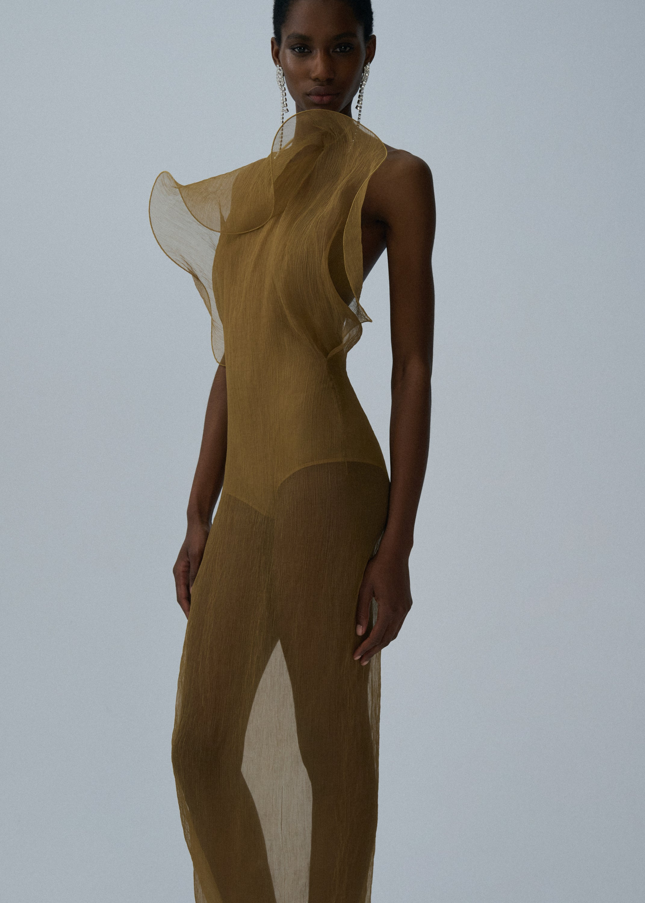 Silk organza gown in beige - 3