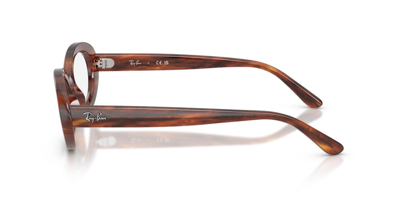 RB2223V OPTICS 5