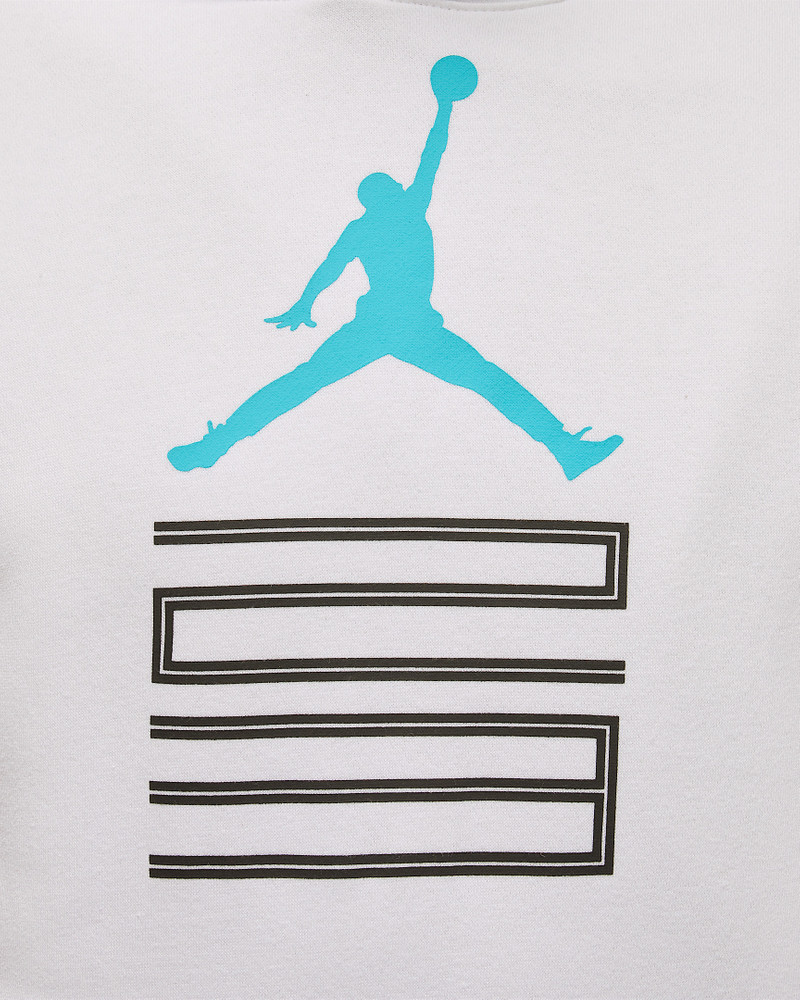Jordan AJ11 Gamma Fleece Men's Pullover Hoodie 4