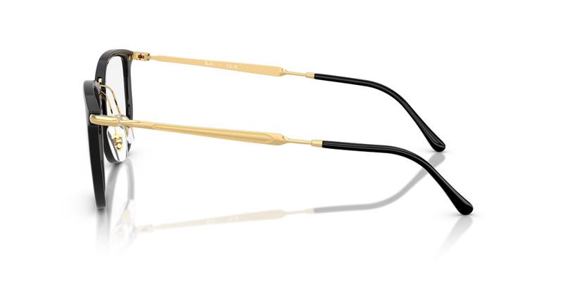 RB4451V OPTICS 5