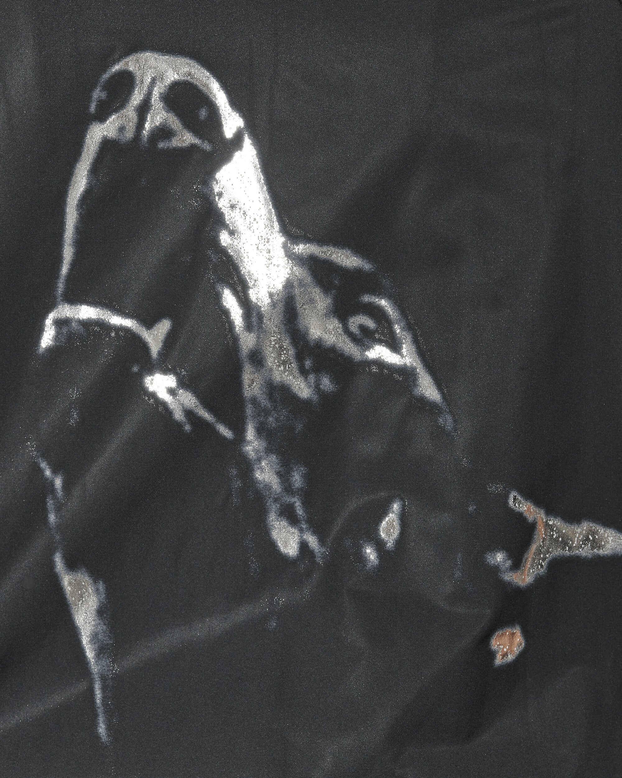Doberman Bomber Jacket Black - 5