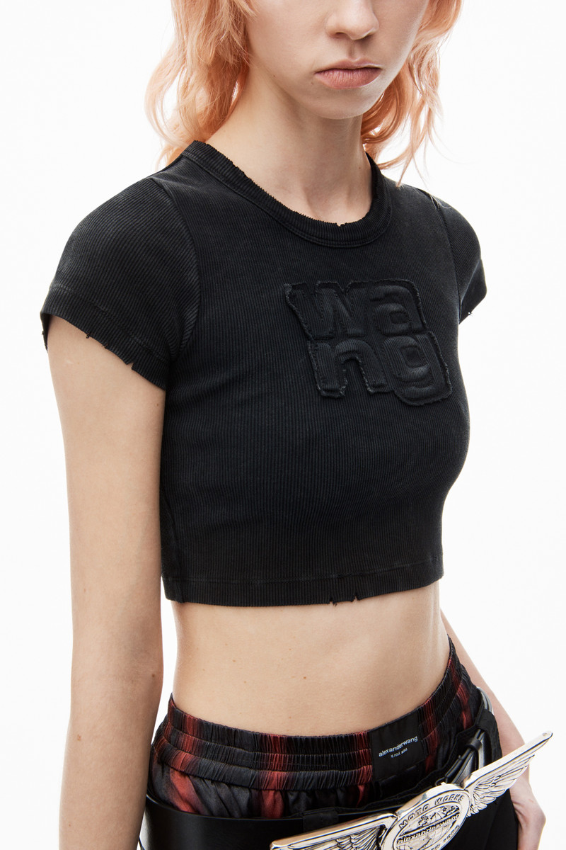 Distressed Logo Baby Tee 3