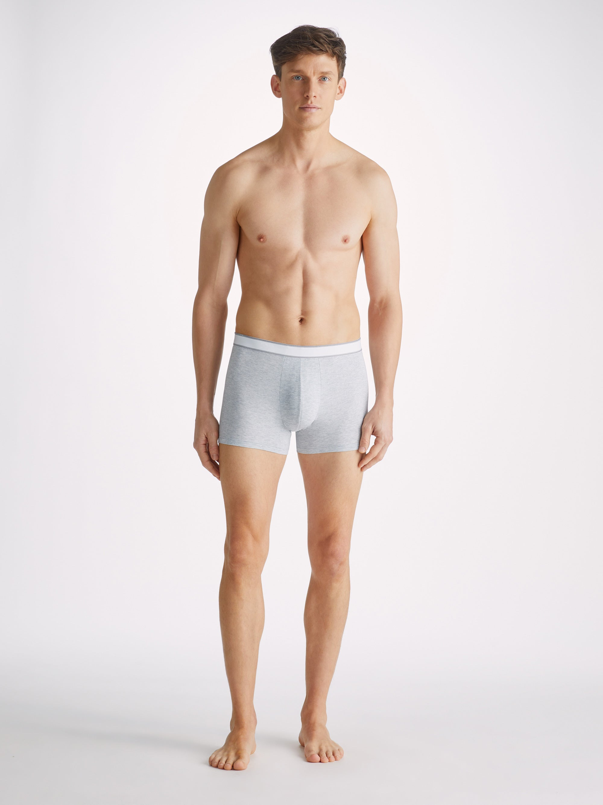 Men's Boxer Briefs Ethan Micro Modal Stretch Silver - 3
