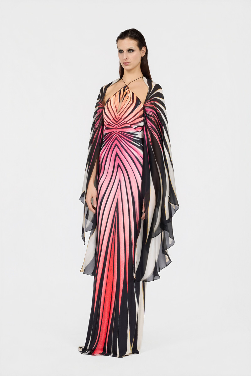 Ray Of Paradise Print Silk Maxi Dress 3