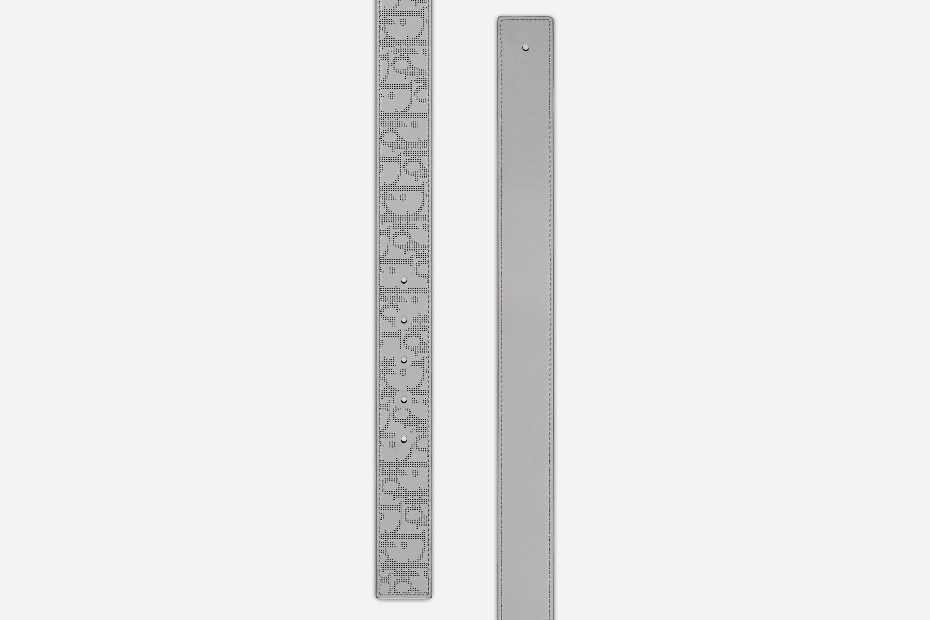 Reversible Belt Strap - 2