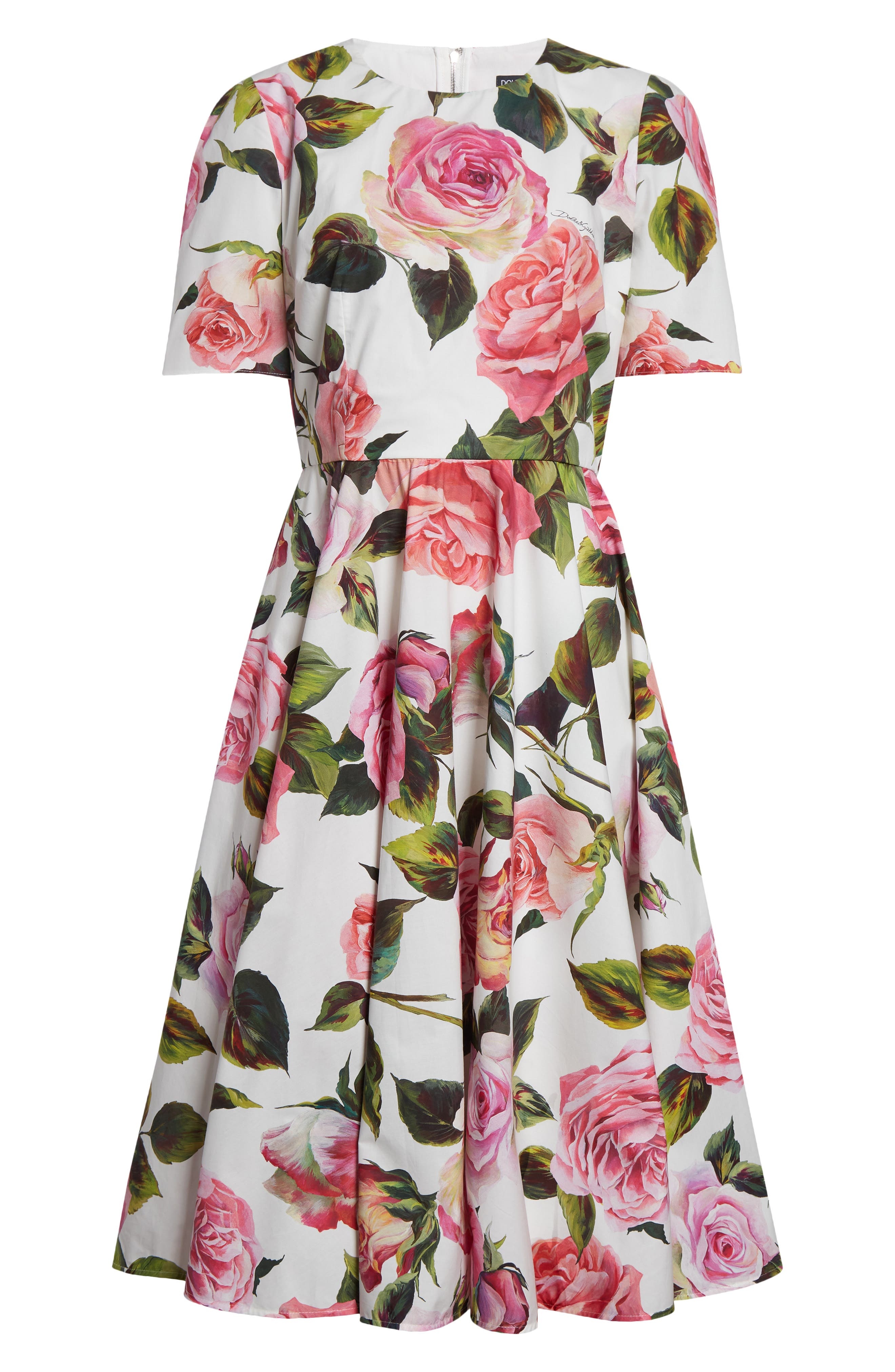 Dolce&Gabbana Rose Print Cotton Fit & Flare Dress in Rose Rosa Floral.bianco at Nordstrom - 5