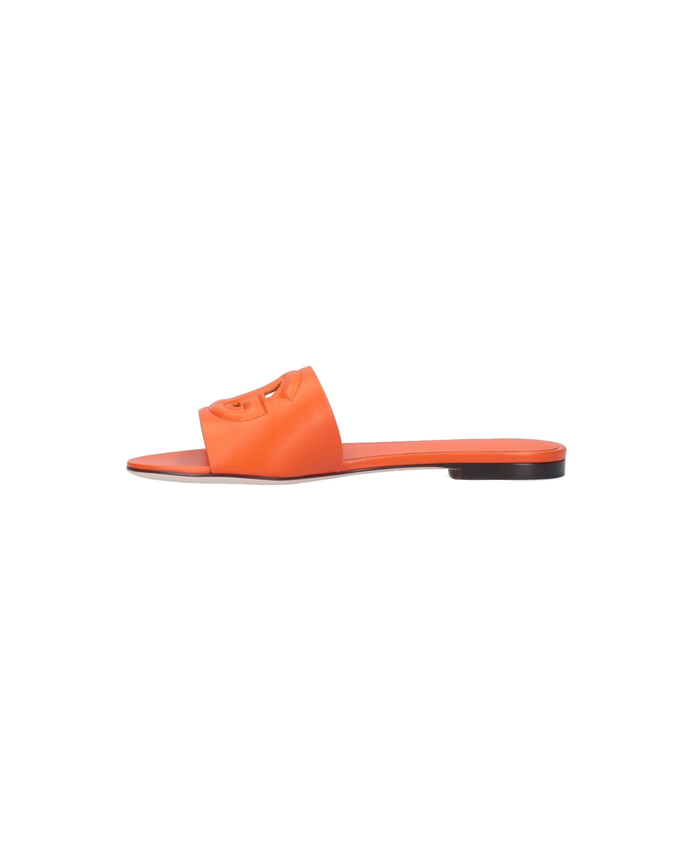 Logo Slides - 3