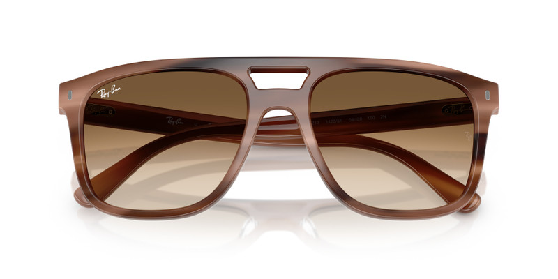 Ray-Ban RB2213 outlook