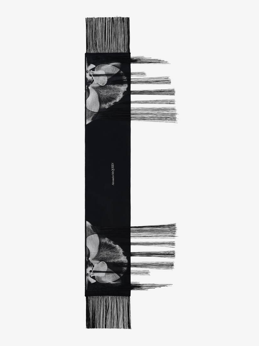 Women's Orchid Monarch Scarf in Black/ivory - 1