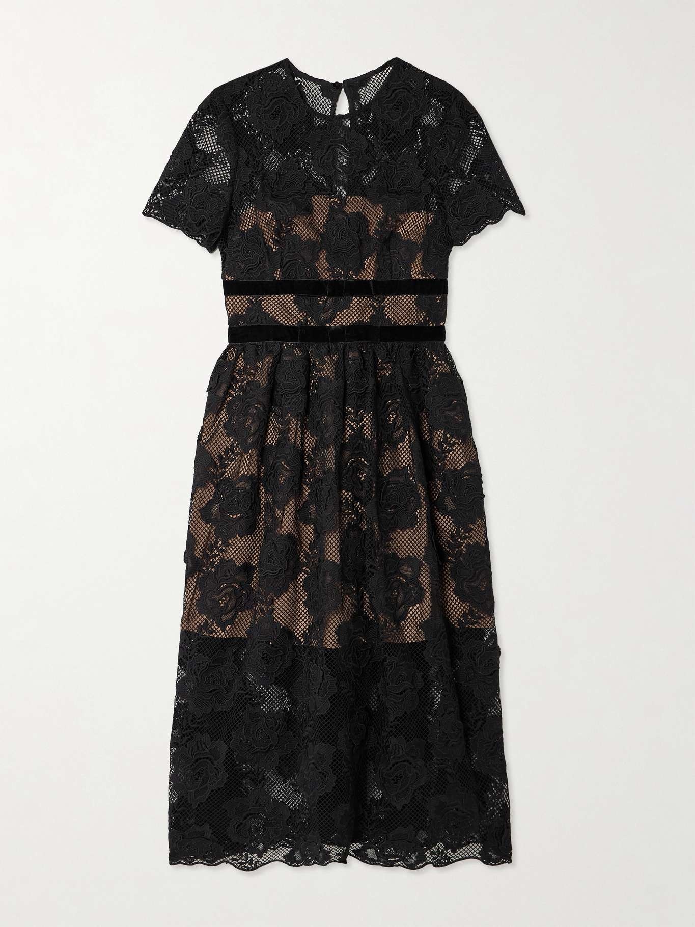 Belted velvet-trimmed corded lace midi dress - 1