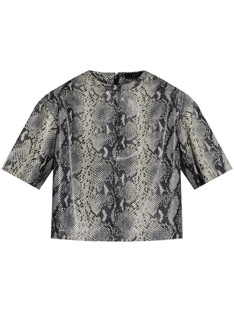 Renai t-shirt 1