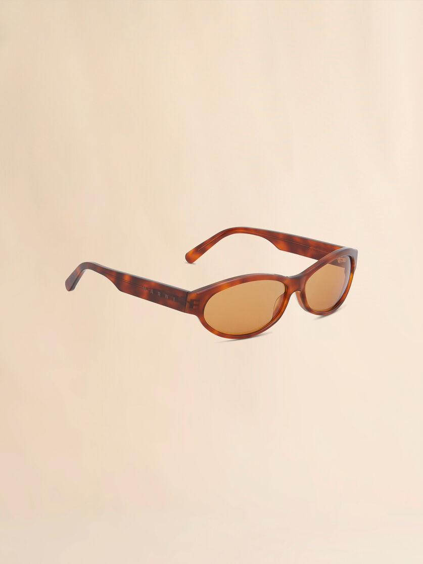 HAVANA OZOUND SUNGLASSES - 3