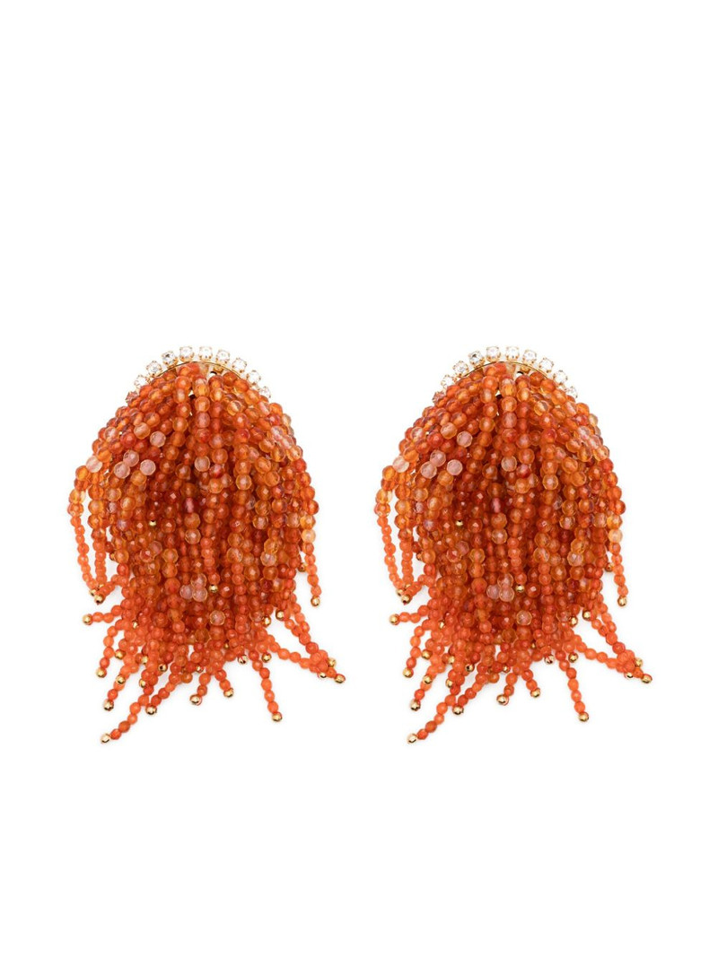 beaded tassel earrings 1