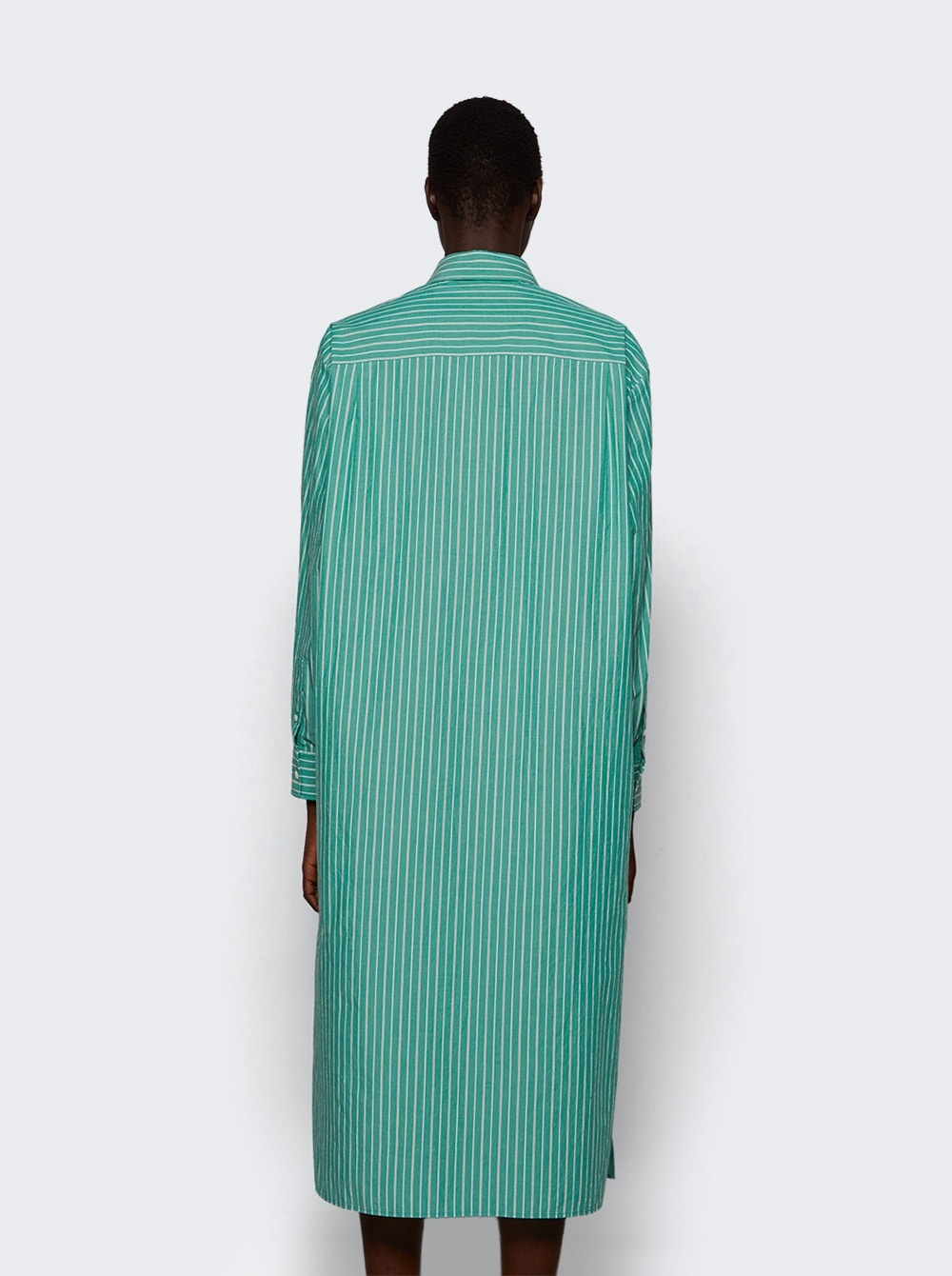 Chihiro Dress Green And White - 4