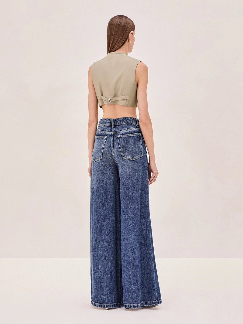 ALEXIS Revel Top outlook