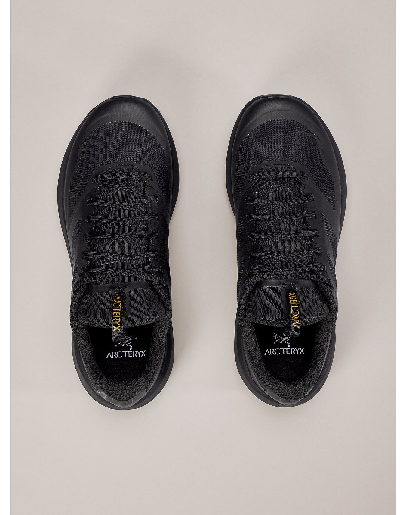 Norvan LD 3 GTX Shoe - 3