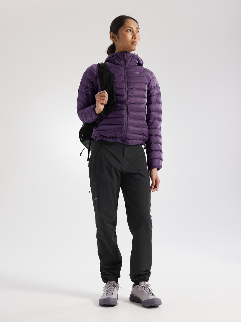Arc'teryx Cerium Hoody outlook