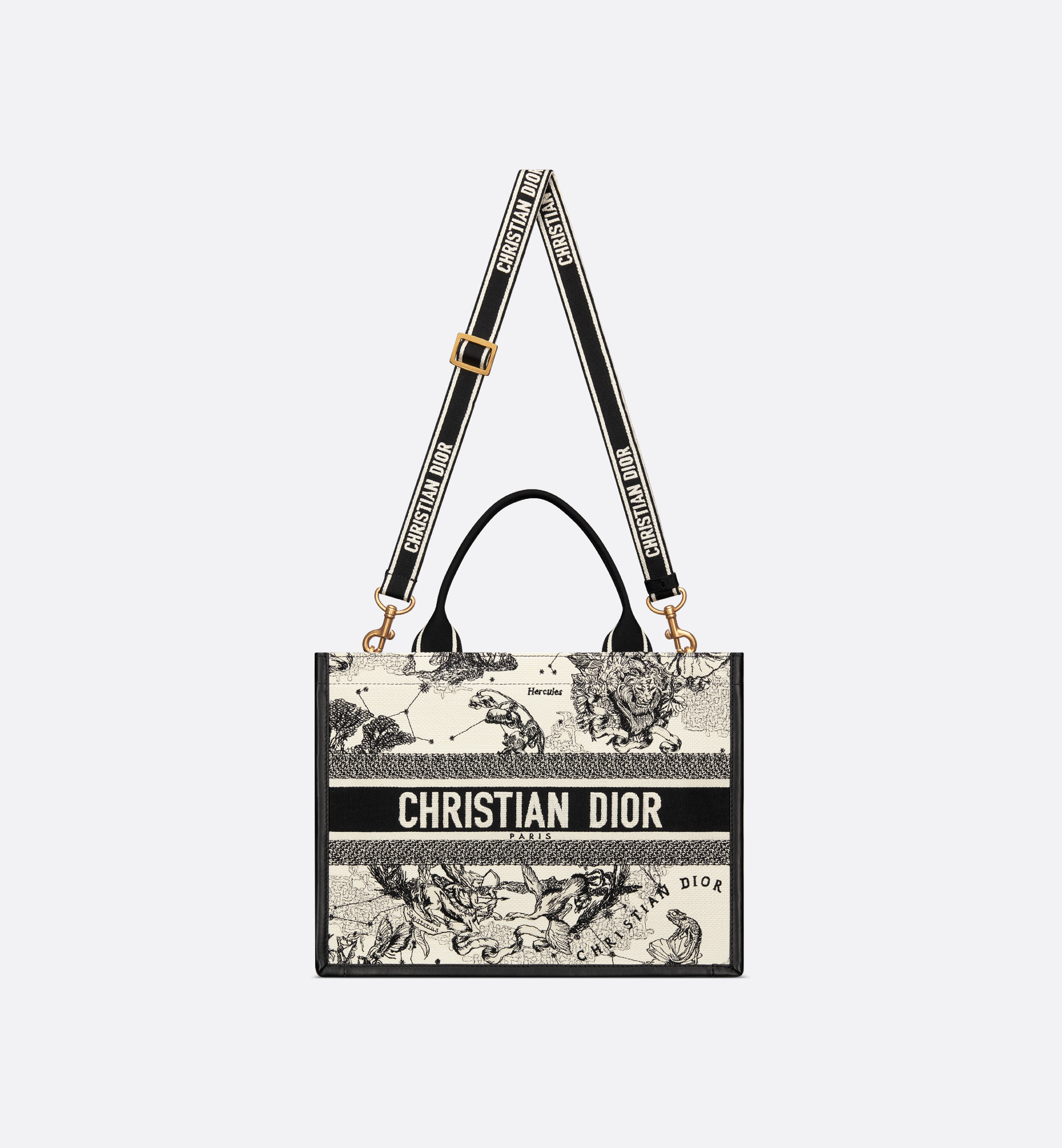 Medium Dior Book Tote - 5
