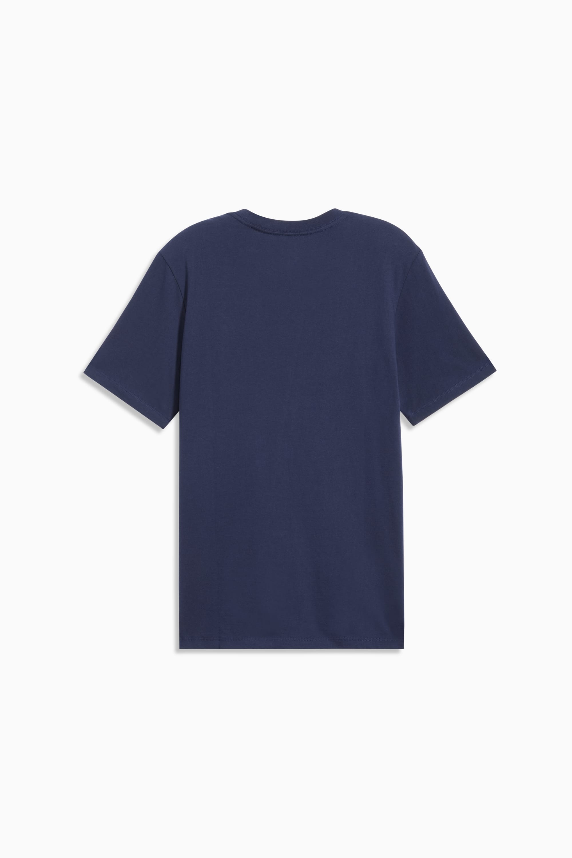 Essentials Big Cat Men's Tee - 2